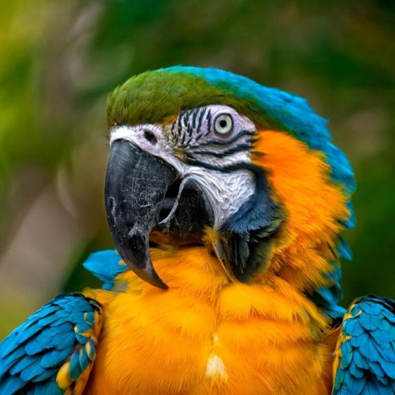 Naturaleza y ecoturismo desde España