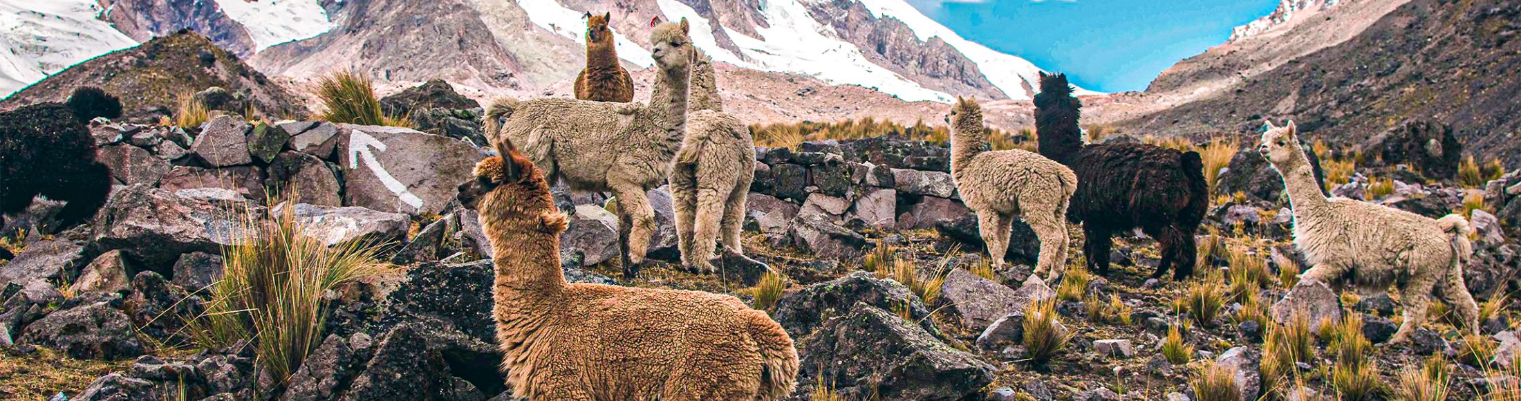 Machu Picchu 4D3N Viajero (Cultural Aventura Tendencia) desde España