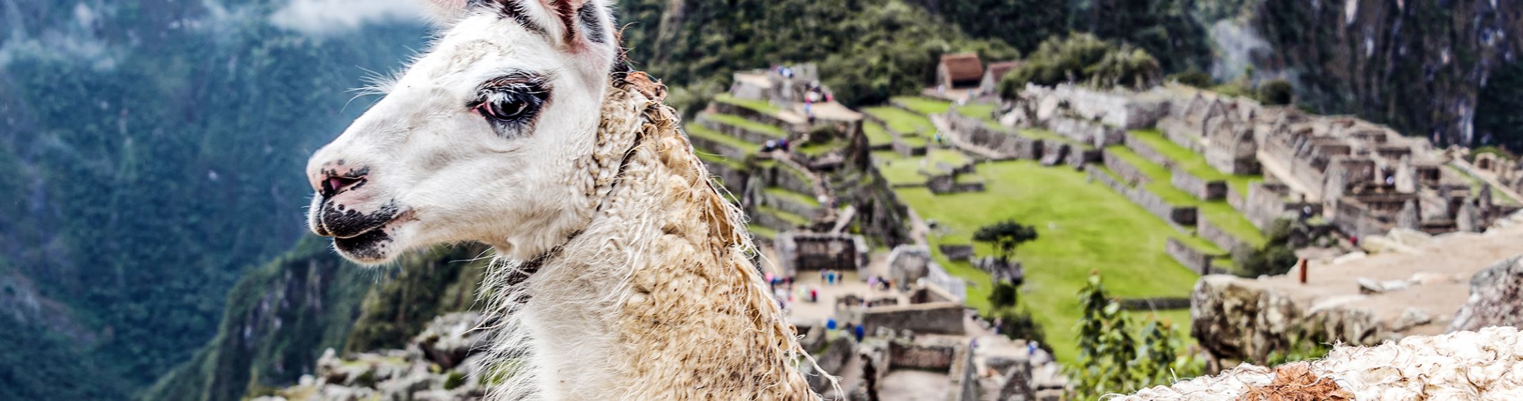 Machu Picchu 8D7N Viajero (Full Cultural) desde España